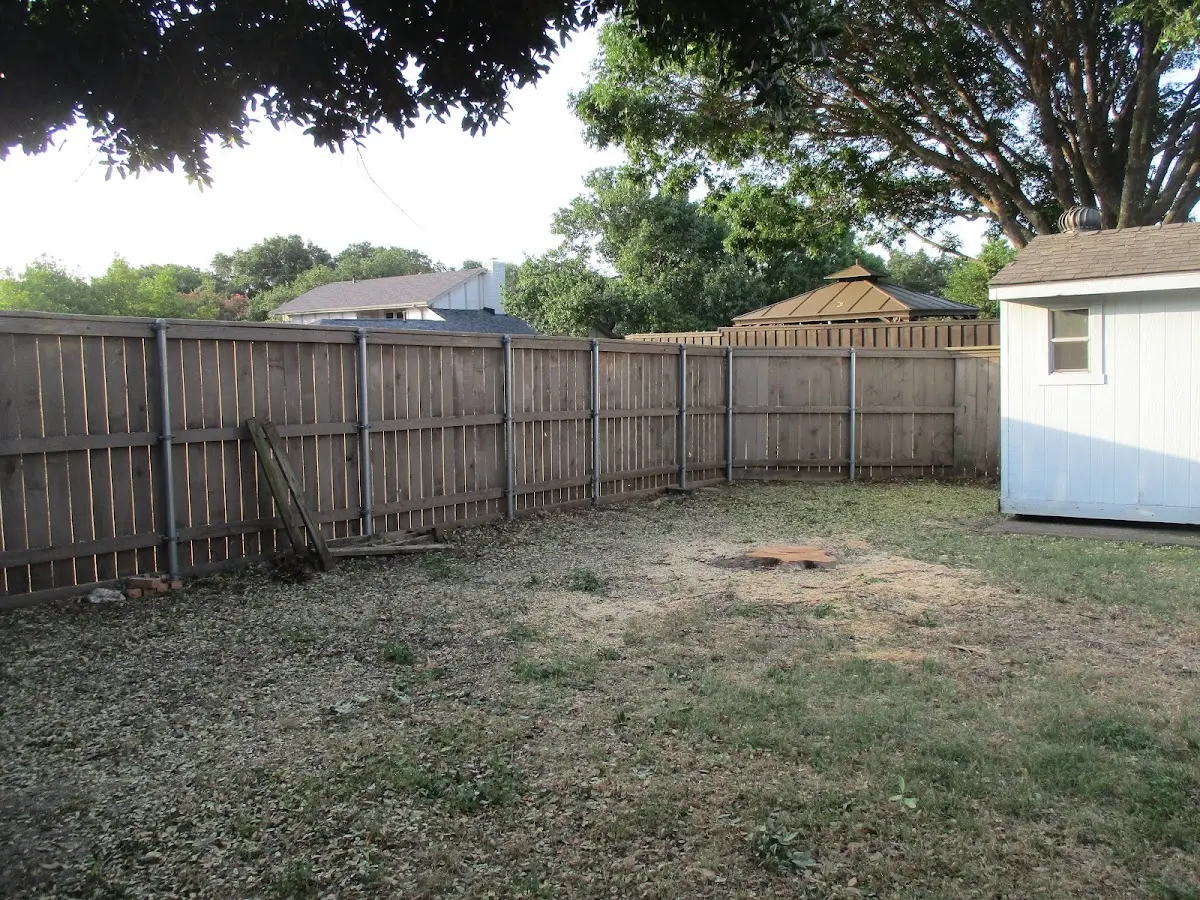 Cleared yard after professional tree removal in Elko